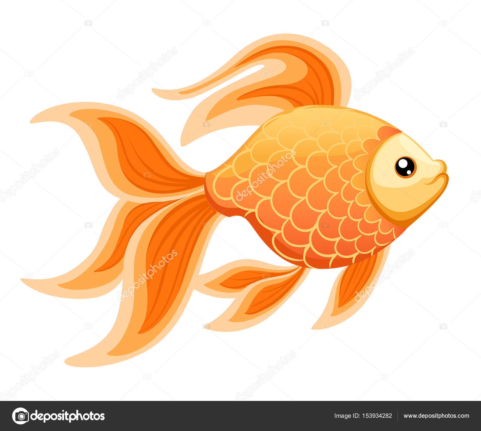 Vector illustration isolated on background Goldfish aquarium fish