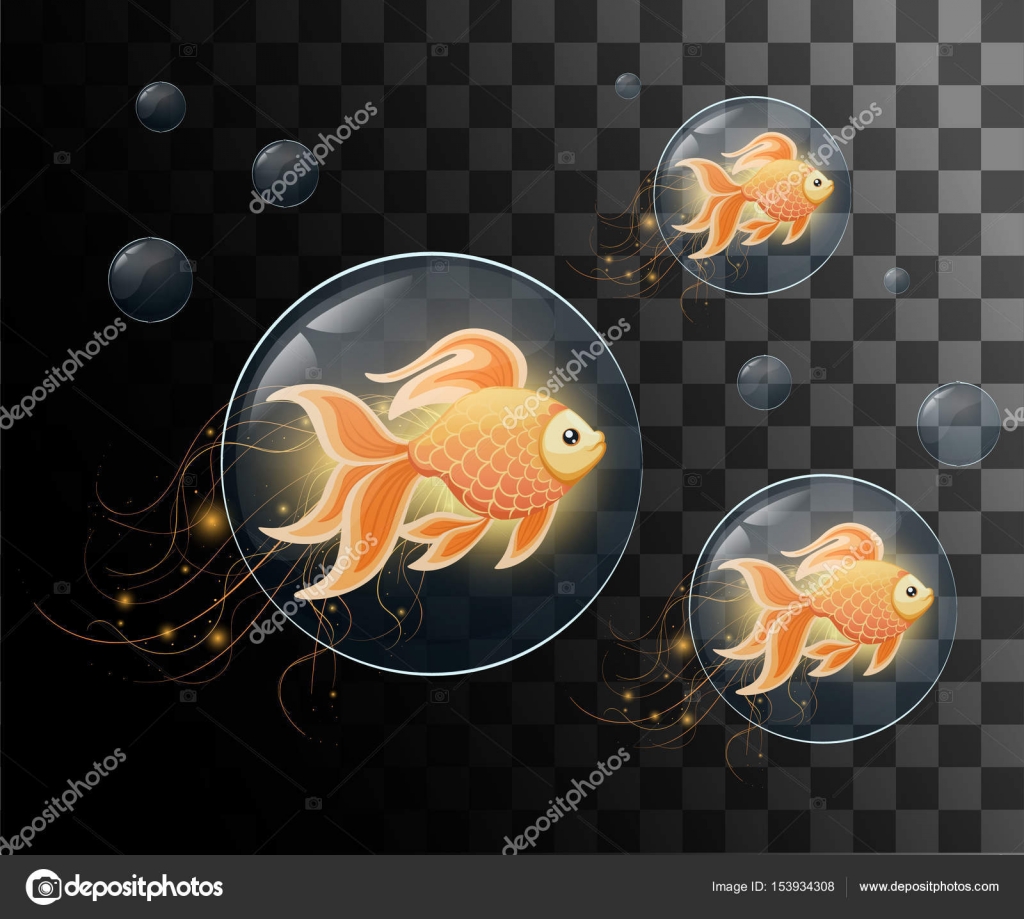 680+ Aquarium Design Goldfish HD Terbaru