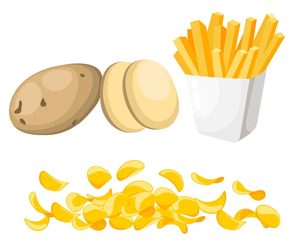 Ilustración vectorial aislada sobre fondo blanco Patatas Conjunto de enteras, rodajas, mitad, lóbulo, patata círculo patatas fritas Papas fritas — Vector de stock