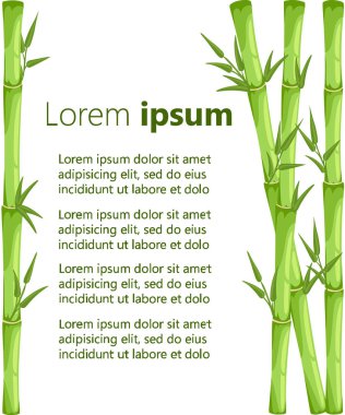 Bambu yaprak vektör çizim ile. Arka plan Asian bambu zen bitkiler Web sitesi sayfası ve mobil uygulaması tasarım vektör öğesi.