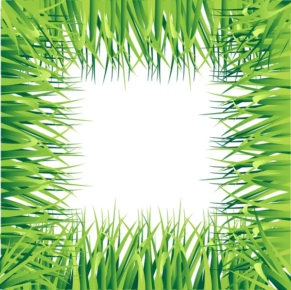 Knippen av gräs. En uppsättning designelement av naturen. vektorillustration isolerade på vit bakgrund. Sommaren naturliga gräsbevuxen gröna element webbplats sida och mobilappen designelement vektor. — Stock vektor