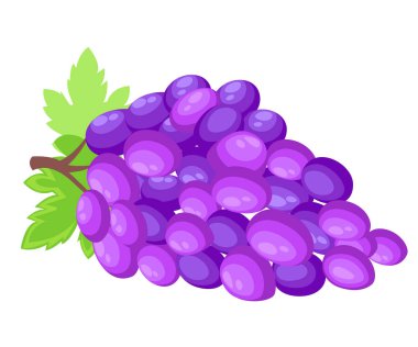 Taze üzüm demet mor beyaz arka plan üstünde kutsal kişilerin resmi. vektör çizim düz stil Web sitesi sayfası ve mobil uygulaması tasarım