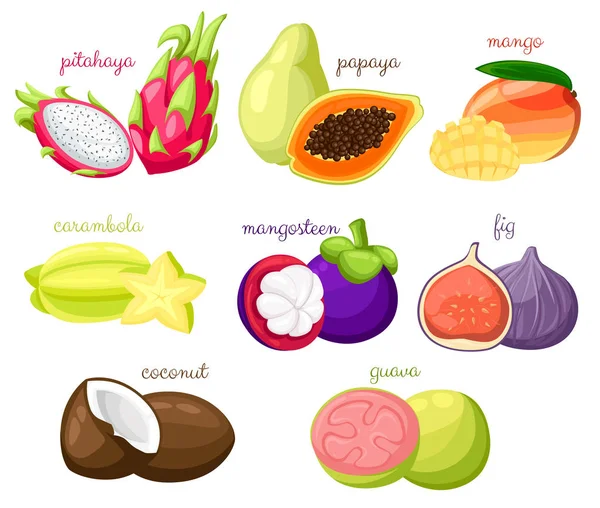 Conjunto de vectores de frutas exóticas Fruta jugosa y madura papaya guayaba mango pitahaya mangostán higo coco carambola caricatura orgánica Ilustración vectorial aislada sobre fondo blanco Página web y aplicación móvil — Archivo Imágenes Vectoriales