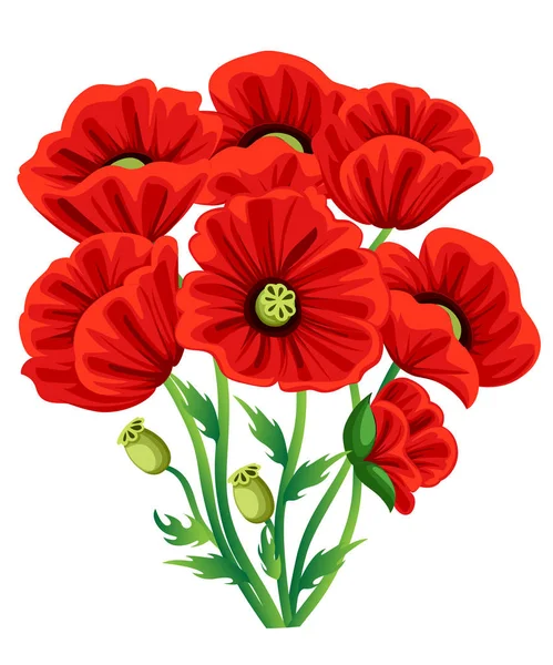 Red Poppy Flower isolated on white background. Vector red romantic poppy flowers and grass. red poppies. red flower. flourish flowery bunches design for decor Web site page and mobile app design. — Stock Vector