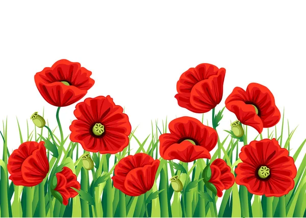 Rote Mohnblume isoliert auf weißem Hintergrund. Vektor rote romantische Mohnblumen und Gras. Rote Mohnblumen. rote Blume. florierende Blumensträuße für Dekor-Webseiten und mobiles App-Design. — Stockvektor
