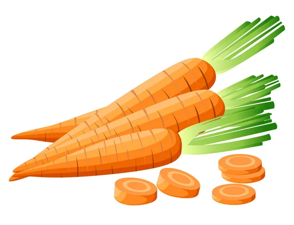 Ilustración vectorial de zanahoria con tapas. Zanahorias en rodajas. Pedazos de zanahorias. Zanahorias con hojas y rodajas de zanahoria. Página web y diseño de aplicaciones móviles Dibujo detallado de comida vegetariana . — Archivo Imágenes Vectoriales