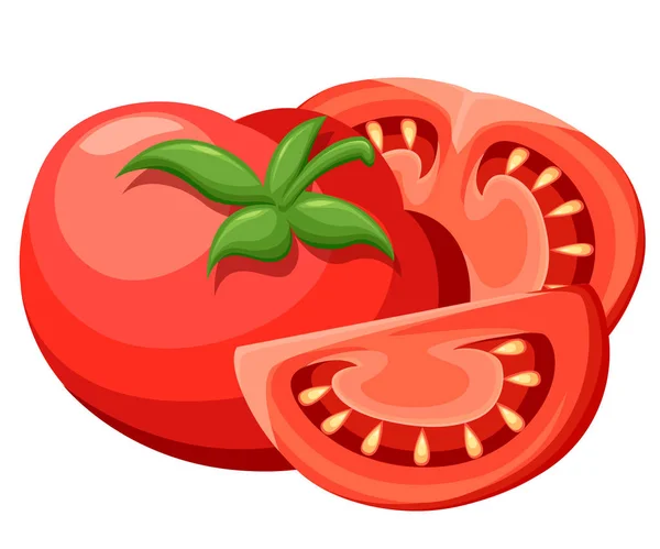 Vektorillustration großer reifer roter frischer Tomaten isoliert auf weißem Hintergrund Webseite und mobile App-Design detaillierte vegetarische Lebensmittelskizze — Stockvektor