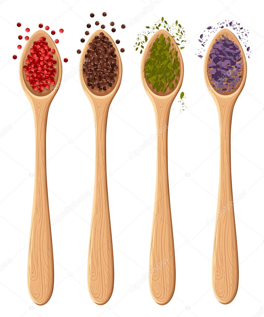 Spices in the spoons isolated on white photo-realistic vector illustration design element in culinary, cooking ingredient, package decoration Web site page and mobile app design vector element.