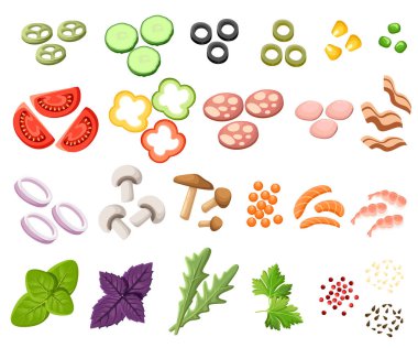 Burger ayarlayın. Malzemeler: buns, peynir, pastırma, domates, soğan, marul, salatalık, turşu soğan, şikayet, ham vektör çizim Topingler sandviç Web sitesi sayfası ve mobil uygulaması tasarım vektör öğesi
