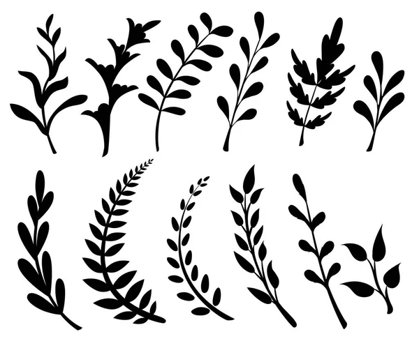 Állítsa Virág Leaves Decorative Elemek Design Levelek Kavarog Virág Lapos — Stock Vector