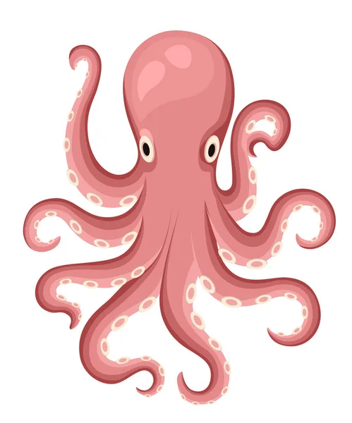 Caricatura Pulpo Rojo Lindo Vector Plano Pulpo Aislado Sobre Fondo — Vector de stock