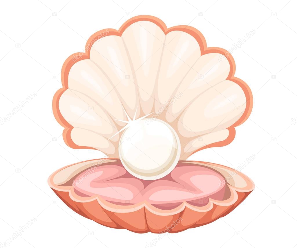 Finest quality beautiful natural open pearl shell close up realistic single valuable object image vector illustration Web site page and mobile app design