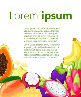 Olgun tropikal meyve ve dilim mango pitaya papaya muz passionfruit vektör illüstrasyon izole görüntüleri ile ayarla. Tasarım şablonu metin için yer ile. Web sitesi ve mobil uygulaması