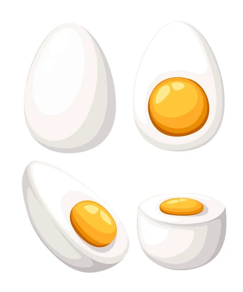 Мультяшне Яйце Ізольовано Білому Тлі Набір Смажених Варених Наполовину Нарізаних — стоковий вектор
