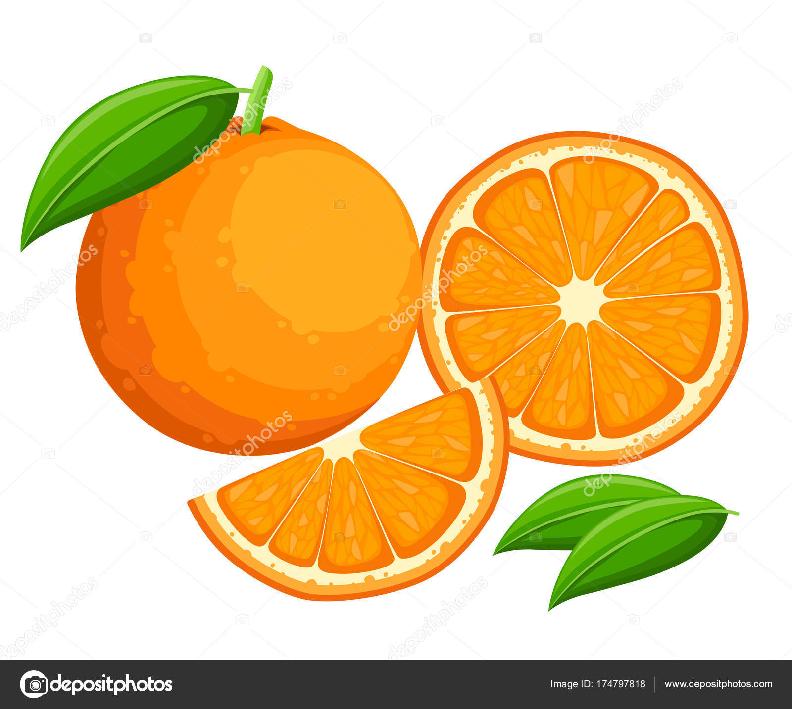 Orange Leaves Whole Slices Oranges Vector Illustration Oranges Vector Illustration Vector Image By C Alfadanz Stock Gmail Com Vector Stock Orange Leaves Whole Slices Oranges Vector Illustration Oranges Vector Illustration Vector Image By C Alfadanz Stock Gmail Com Vector Stock