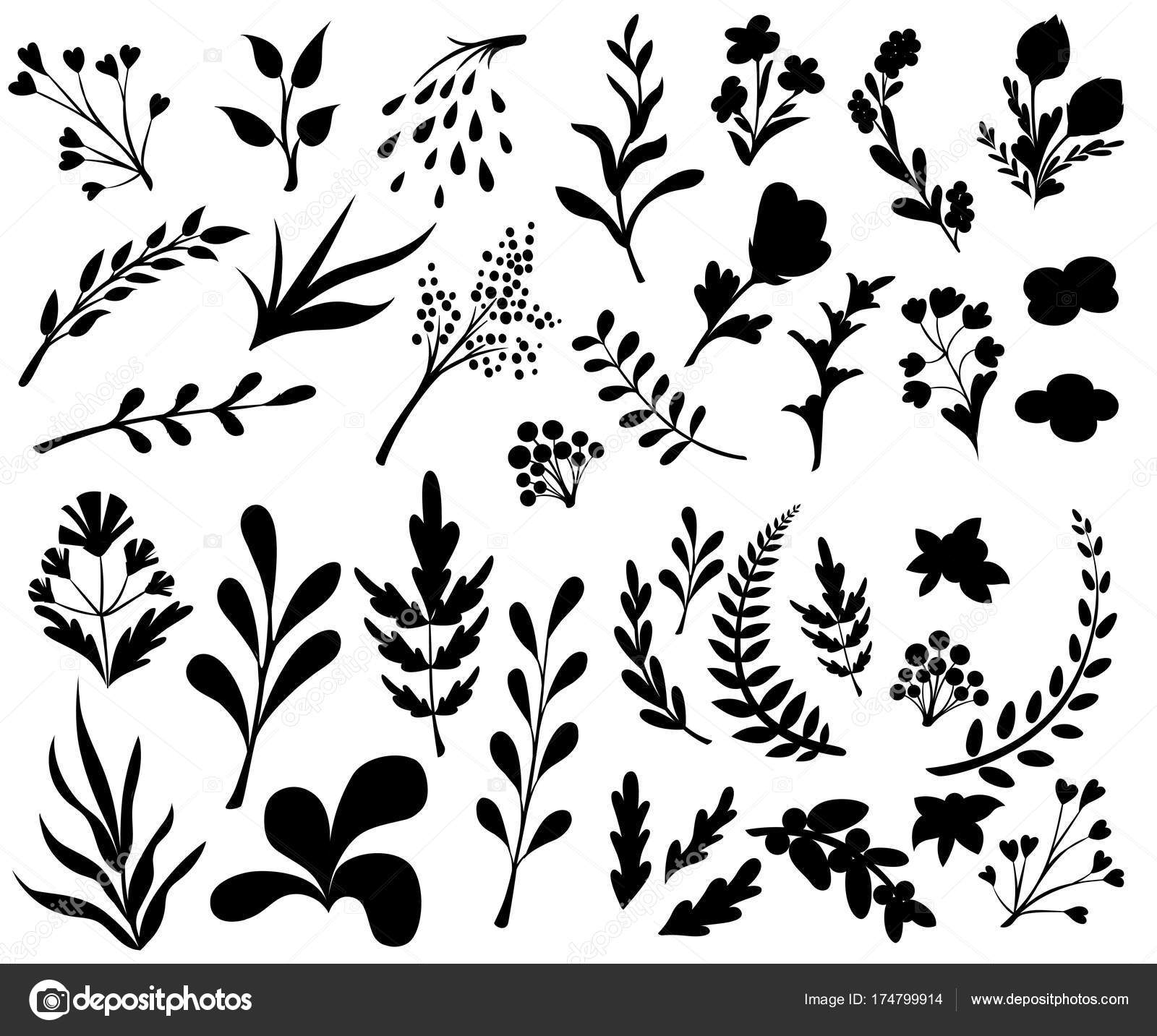 Vintage Set Hand Drawn Tree Branches Leaves Flowers White Background Vector Image By C Alfadanz Stock Gmail Com Vector Stock Vintage Set Hand Drawn Tree Branches Leaves Flowers White Background Vector Image By C Alfadanz Stock Gmail Com Vector Stock