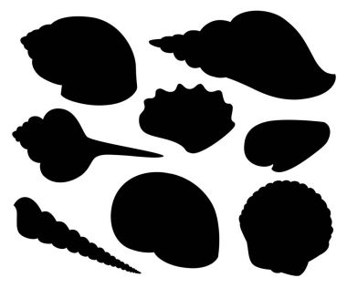 Deniz kabukları ve beyaz arka plan üzerinde izole inci kabuğu siluetleri vektör. Web sayfası ve mobil uygulaması tasarım