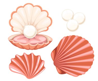 Pink seashell with pearl. Vector illustration isolated on white background. Website page and mobile app design clipart