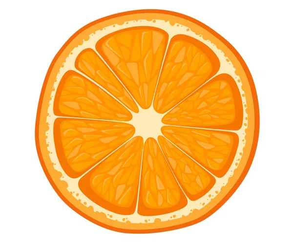 Vektör Portakal dilim beyaz arka plan üzerinde izole. Narenciye Illustration. Vektör çizim dekoratif afiş, amblem doğal ürün, çiftçi pazarı için. Web sayfası ve mobil uygulaması tasarım
