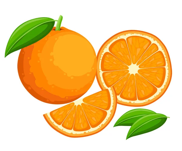 Помаранчевий Листям Цілим Шматочками Апельсинів Векторні Ілюстрації Апельсинів Векторні Ілюстрації — стоковий вектор