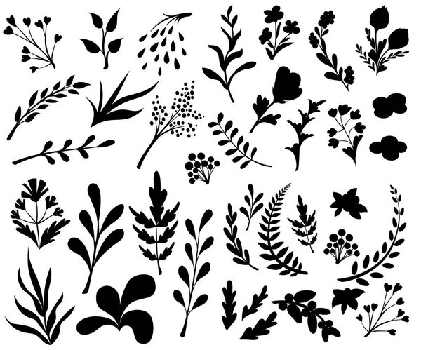 Vintage set of hand drawn tree branches with leaves and flowers on white background. Black silhouettes. Vector illustration. Website page and mobile app design