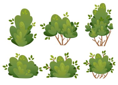 Set of natural bush and garden trees for park cottage and yard vector illustration isolated on white background website page and mobile app design clipart