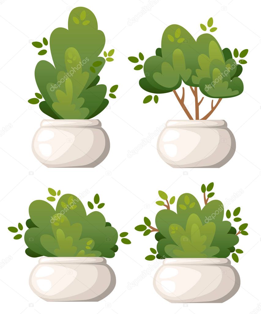 Set of natural bush and garden trees in white vase for park cottage and yard vector illustration isolated on white background website page and mobile app design