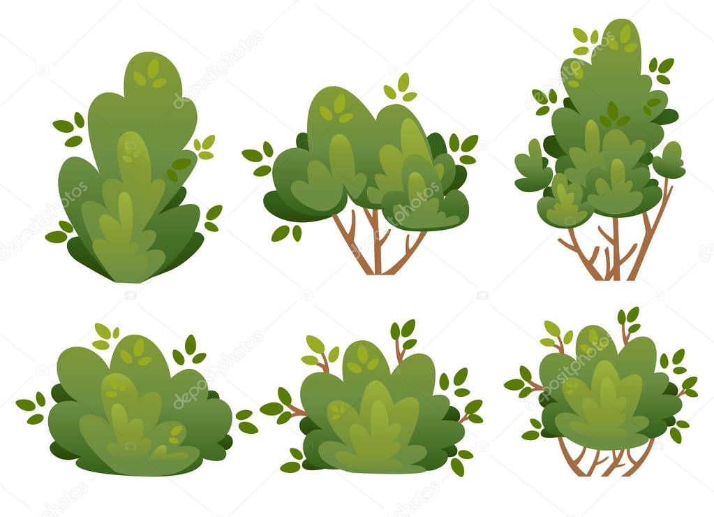 Set of natural bush and garden trees for park cottage and yard vector illustration isolated on white background website page and mobile app design