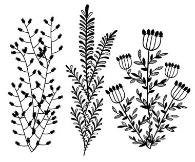 İçin senin tasarım yaprakları swirls çiçek düz tasarım stil vektör çizim çiçek öğeleri ve leaves.decorative ile ayarla