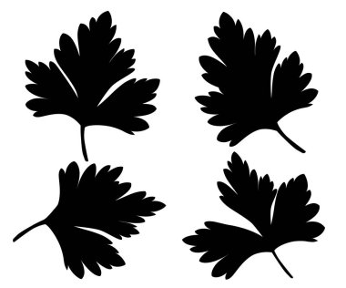 Beyaz Siyah siluetler illüstrasyon tasarım öğesinde mutfak pişirme madde paketi dekorasyon, çıkartma etiket izole maydanoz