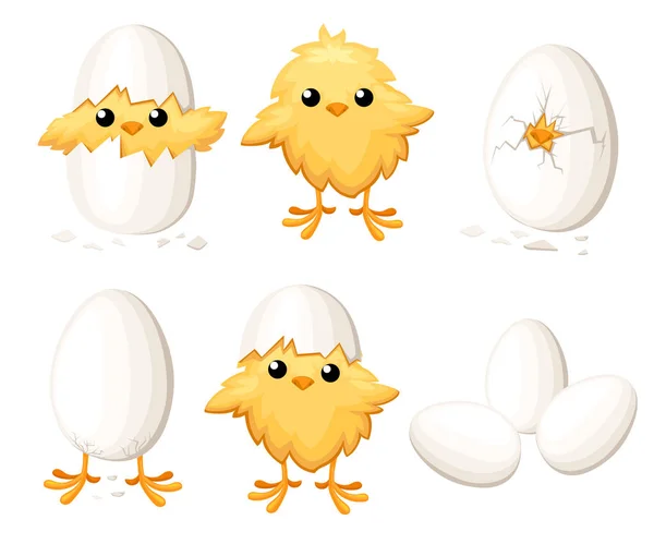 Set di divertente pollo in uovo per la decorazione pasquale vettore del fumetto clipart piatto uccello giallo in un guscio d'uovo vettoriale illustrazione su sfondo bianco — Vettoriale Stock