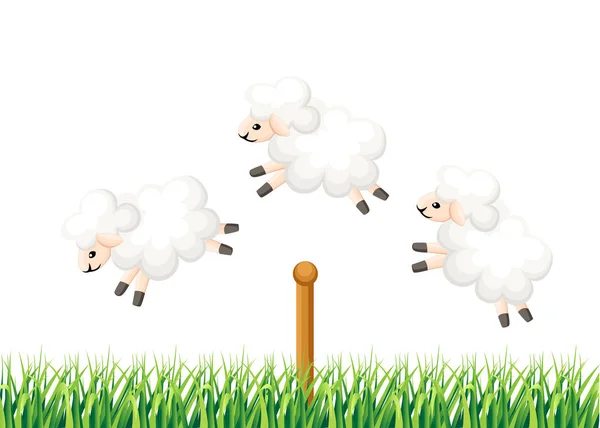 Three sheep jumping over the fence sleep time count sheeps from insomnia on white background with a grass vector illustration web site page and mobile app design — Stock Vector