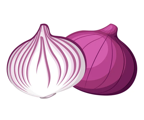 Fresh red onion and piece of onion vegetable from the garden organic food vector illustration isolated on white background web site page and mobile app design — Stock Vector