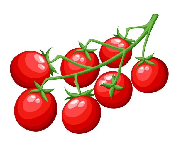 Pomodori freschi ciliegia vegetale dal giardino cibo biologico pomodoro rosso su ramo verde vettoriale illustrazione isolato su sfondo bianco pagina del sito web e mobile app design — Vettoriale Stock