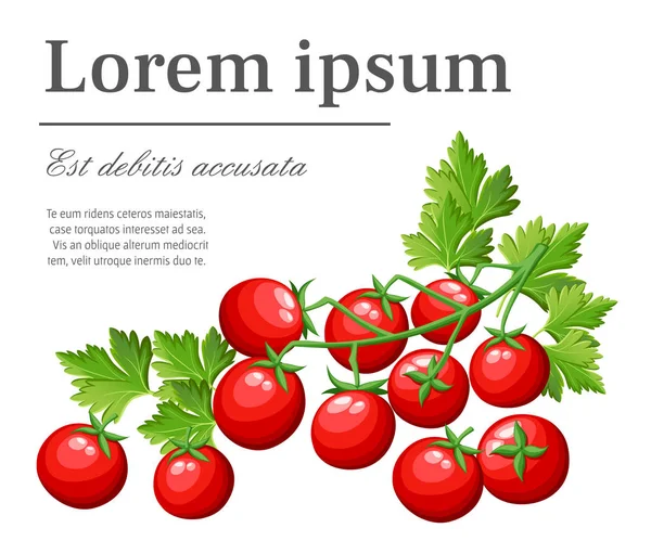 Frescos tomates cereza vegetal del jardín alimentos ecológicos tomate rojo en la ilustración vector rama verde con lugar para su texto aislado en el fondo blanco página web del sitio y el diseño de aplicaciones móviles — Archivo Imágenes Vectoriales