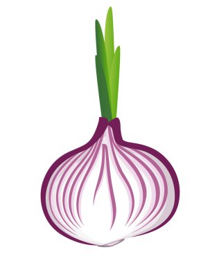 Lahanası Sebze Bahçe Organik gıda vektör illüstrasyon izole beyaz arka plan web sitesi sayfası ve mobil uygulaması tasarım üzerine gelen ile taze kırmızı soğan