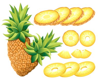 Ananas ve ananas dilimleri. Ananas vektör Illustration. Vektör çizim dekoratif afiş, amblem doğal ürün, çiftçi pazarı için. Web sayfası ve mobil uygulaması tasarım