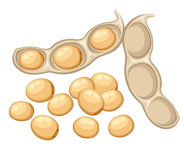 Vegetales de soja entera fresca del jardín alimentos orgánicos vaina de frijol abierto vector ilustración aislado en el fondo blanco página del sitio web y el diseño de aplicaciones móviles — Vector de stock