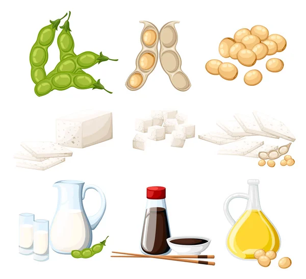 Set of soy products milk and oil in glass jug soy sauce in transparent bottle tofu and beans organic vegetarian food vector illustration isolated on white background web site page and mobile app — Stock Vector