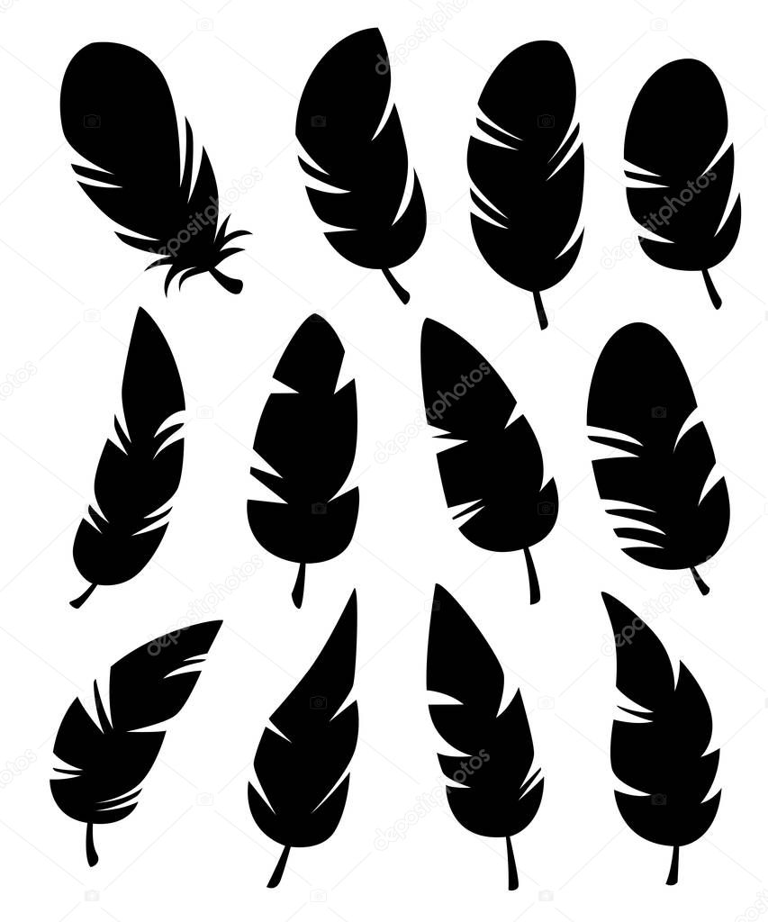 Download Feathers of different shapes vector set in a flat style ...