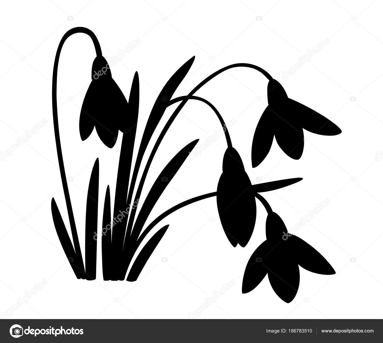 Set of flower silhouette vector illustrations. Snowdrop, daffodil
