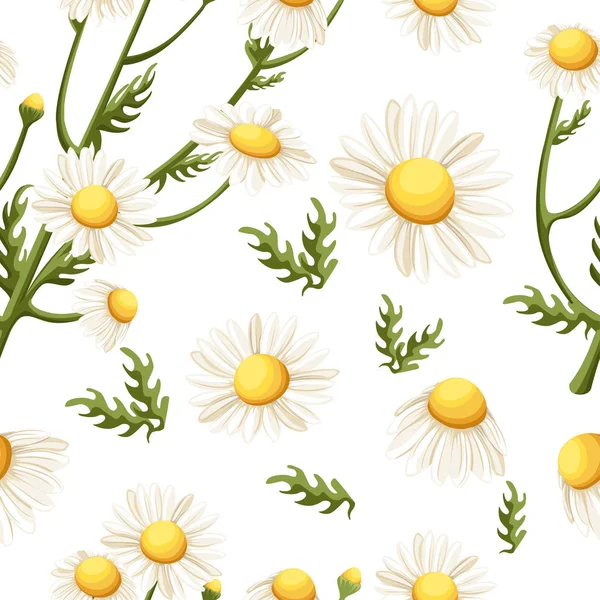 Nahtloses Muster von Kamillenblüten. wunderschöner Blumenschmuck. Vektor-Illustration auf weißem Hintergrund. Webseite und mobiles App-Design — Stockvektor