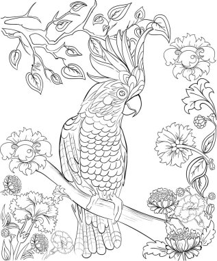 Boyama kitabı için Kakadu papağan. Anti-stres için yetişkin renklendirme. Dövme kalıp. Zentangle tarzı. Siyah ve beyaz çizgiler. Dantel modeli. Beyaz arka plan üzerinde vektör çizim
