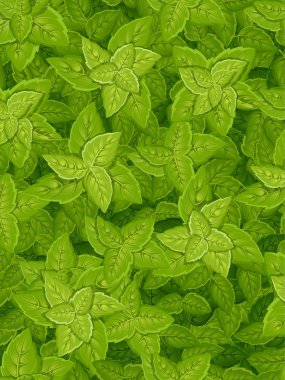 Dikey ışıma yeşil yaprak. Ağaçlar ve bitkiler yaprakları çeşitli şekiller. Çiçek, bitki örtüsü tasarım öğeleri. Vektör çizim. Web sayfası ve mobil uygulaması tasarım