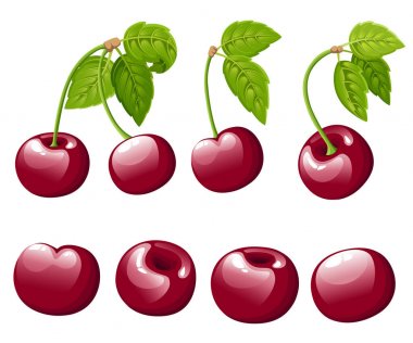 Kiraz berry koleksiyonu. Kiraz yeşil yaprakları ile vektör Illustration. Vektör çizim dekoratif afiş, amblem doğal ürün, çiftçi pazarı için. Web sayfası ve mobil uygulaması tasarım