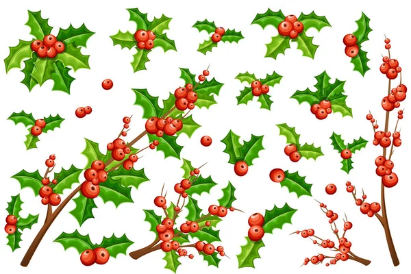 Samling av jul mistel. Grenar av mistel med gröna blad och utan. Tecknad stil design. Vektorillustration isolerade på vit bakgrund — Stock vektor