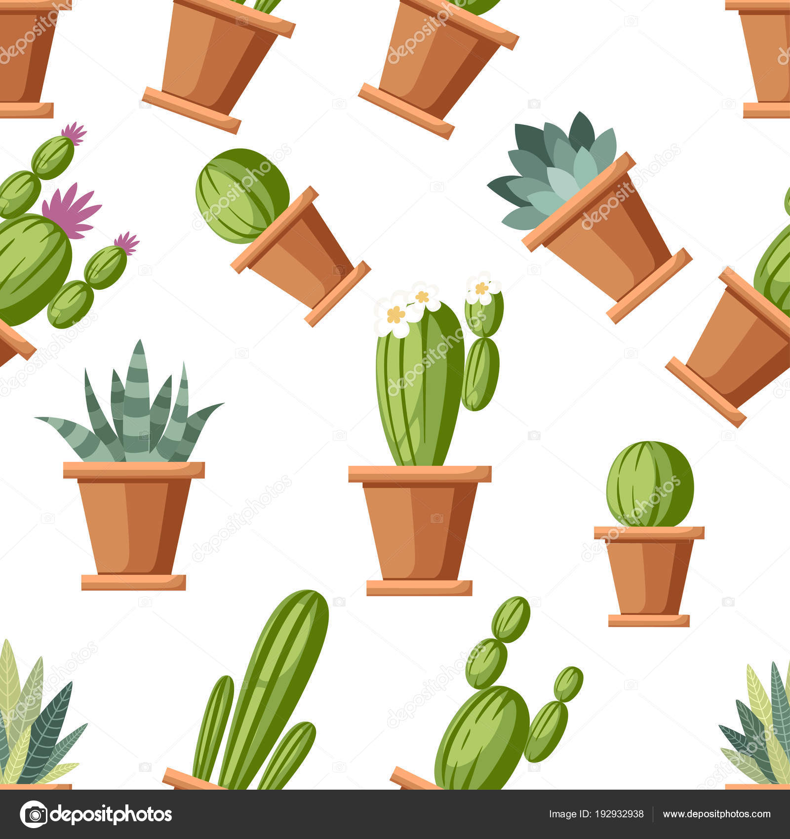 Modèle Sans Couture De Fleur Et Décoratif Cactus Cactus