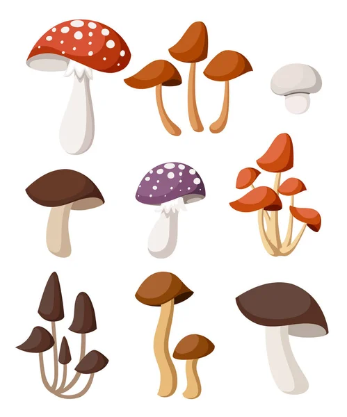 Illustrazione di funghi decorativi. Disegno in stile cartone animato. Illustrazione vettoriale isolata su sfondo bianco. Pagina web e design delle app per dispositivi mobili — Vettoriale Stock