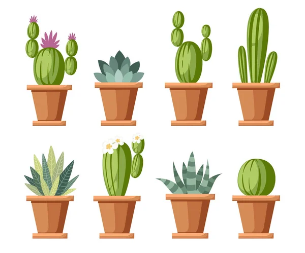 Set di fiori e cactus decorativi. Home piante cactus in vaso e con fiori. Una varietà di fiori decorativi. Disegno in stile cartone animato. Illustrazione vettoriale isolata su sfondo bianco — Vettoriale Stock