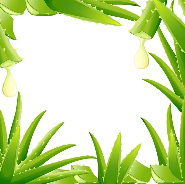 Modello di pianta di aloe vera verde. Tagliare pezzi di aloe vera. Siero e collagene estratti naturali di vitamina per la cura della pelle cosmetico. Illustrazione vettoriale isolata su sfondo bianco — Vettoriale Stock